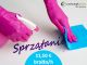 SPRZTANIE (K/M) – NIEMCY - MINIJOB